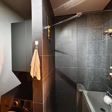 Apartment Cozy Flat And Parking In Floreasca, Perfect For Longer