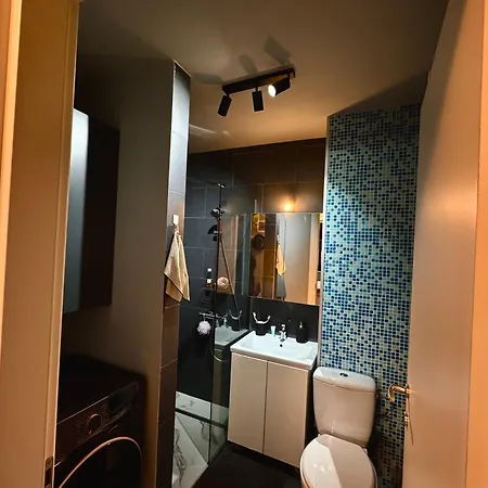 Cozy Flat And Parking In Floreasca, Perfect For Longer